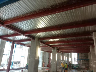 Main Steel Structure